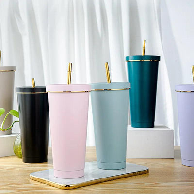 Glossy Stainless Steel Tumblers with Straw (750ml)