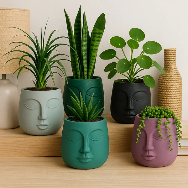 Modern Ceramic Face Planter