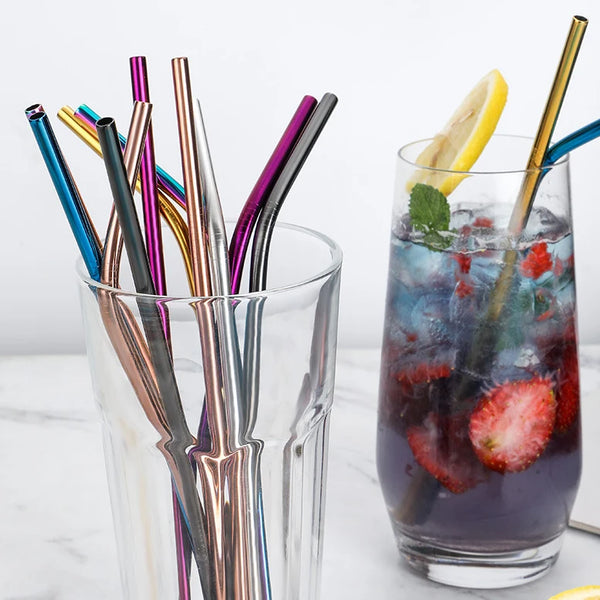 Metal Stainless Steel Straws (set of 6)